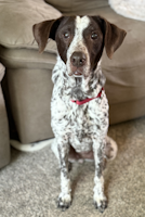 Quinn