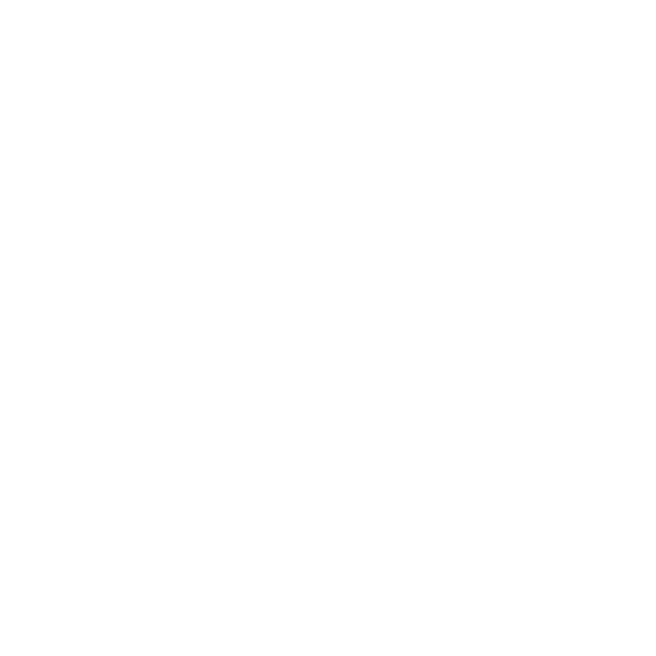 CBF Board of Directors