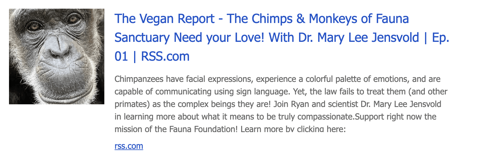 The Chimps & Monkeys of Fauna Sanctuary Need your Love!, The Vegan Report