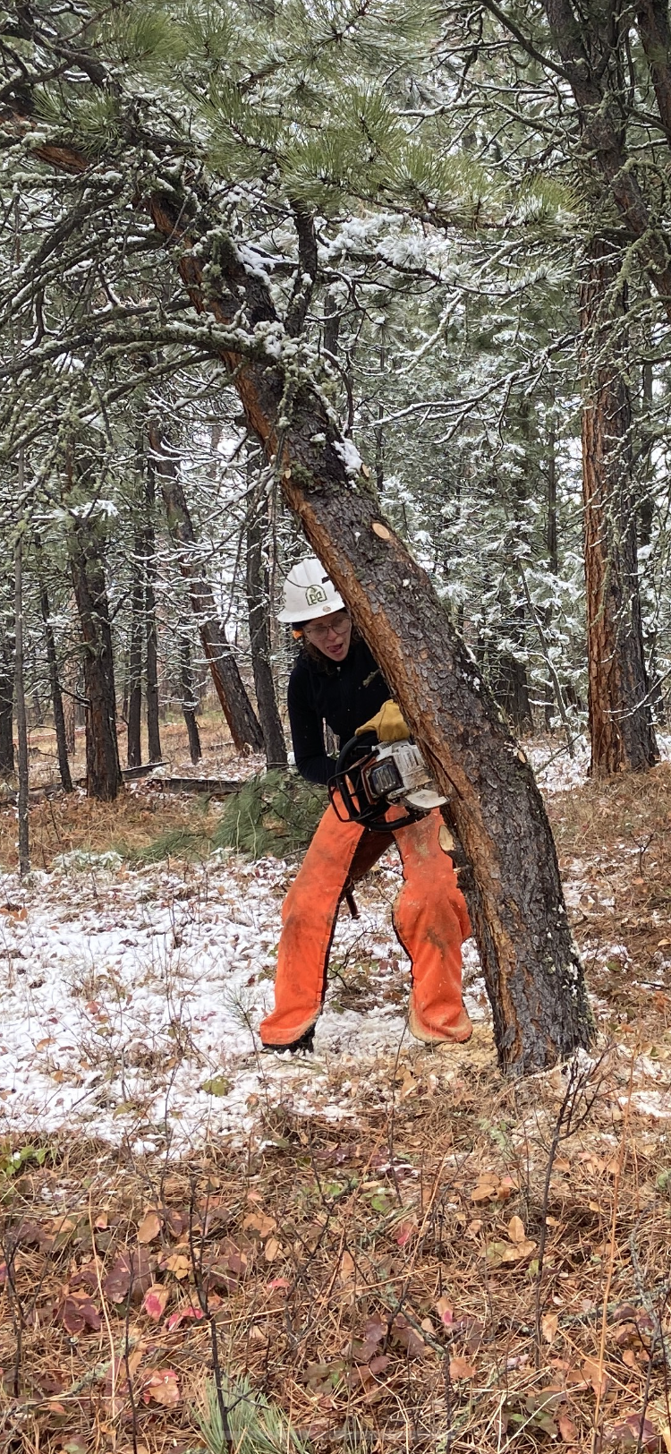A women's fire crew leader uses a chainsaw to mitigate wildfire fuels