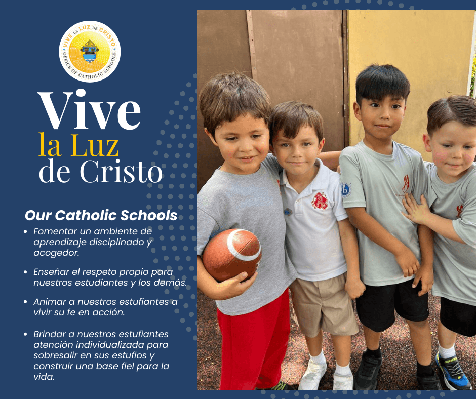 Annual Live the Light of Christ 2 -SP