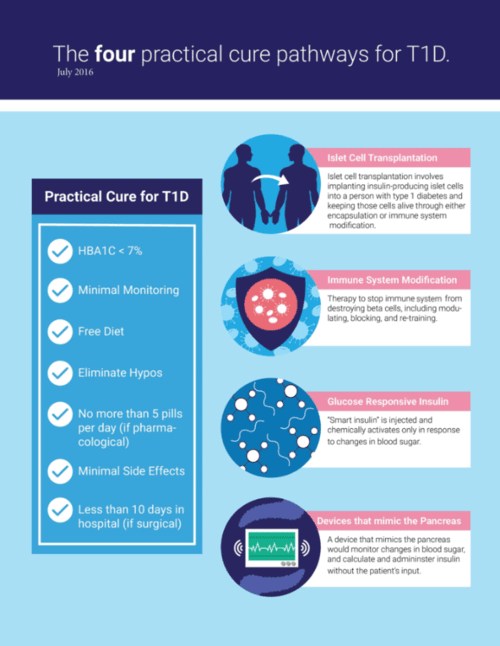 Research Pathways to a Practical Cure for Type 1 Diabetes