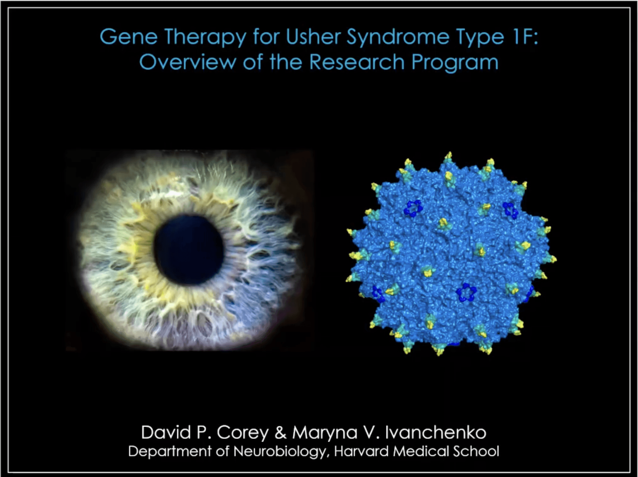 Update on Usher 1F Research from David Corey, PhD - Dec. 15, 2025