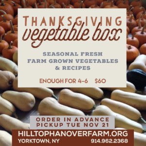Thanksgiving Vegetable Boxes
