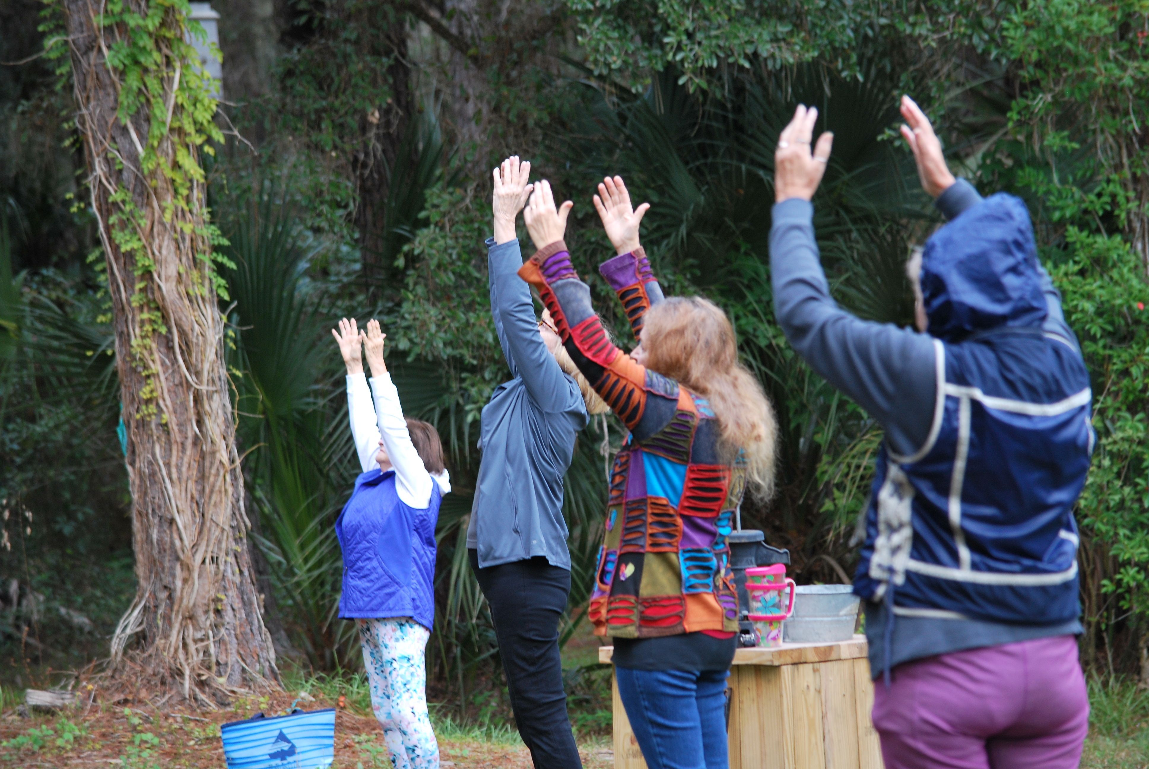 Participants raising their hands in a yoga pose under the pines.