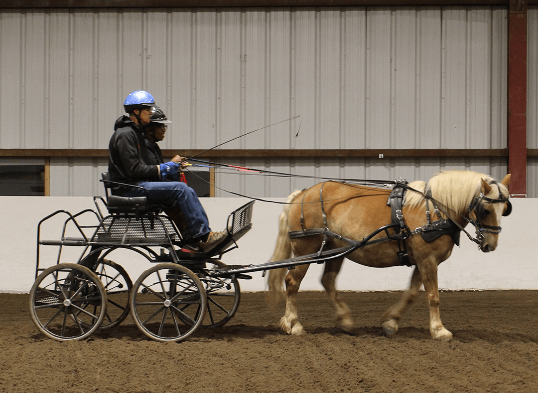 Carriage Driving