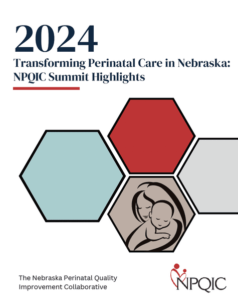 2024 NPQIC Summit Highlights