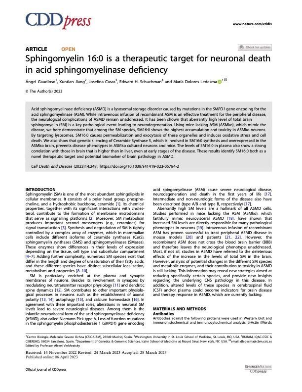 Sphingomyelin 16:0 is a therapeutic target for neuronal death in ASMD