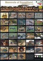 Mammals of Somaliland