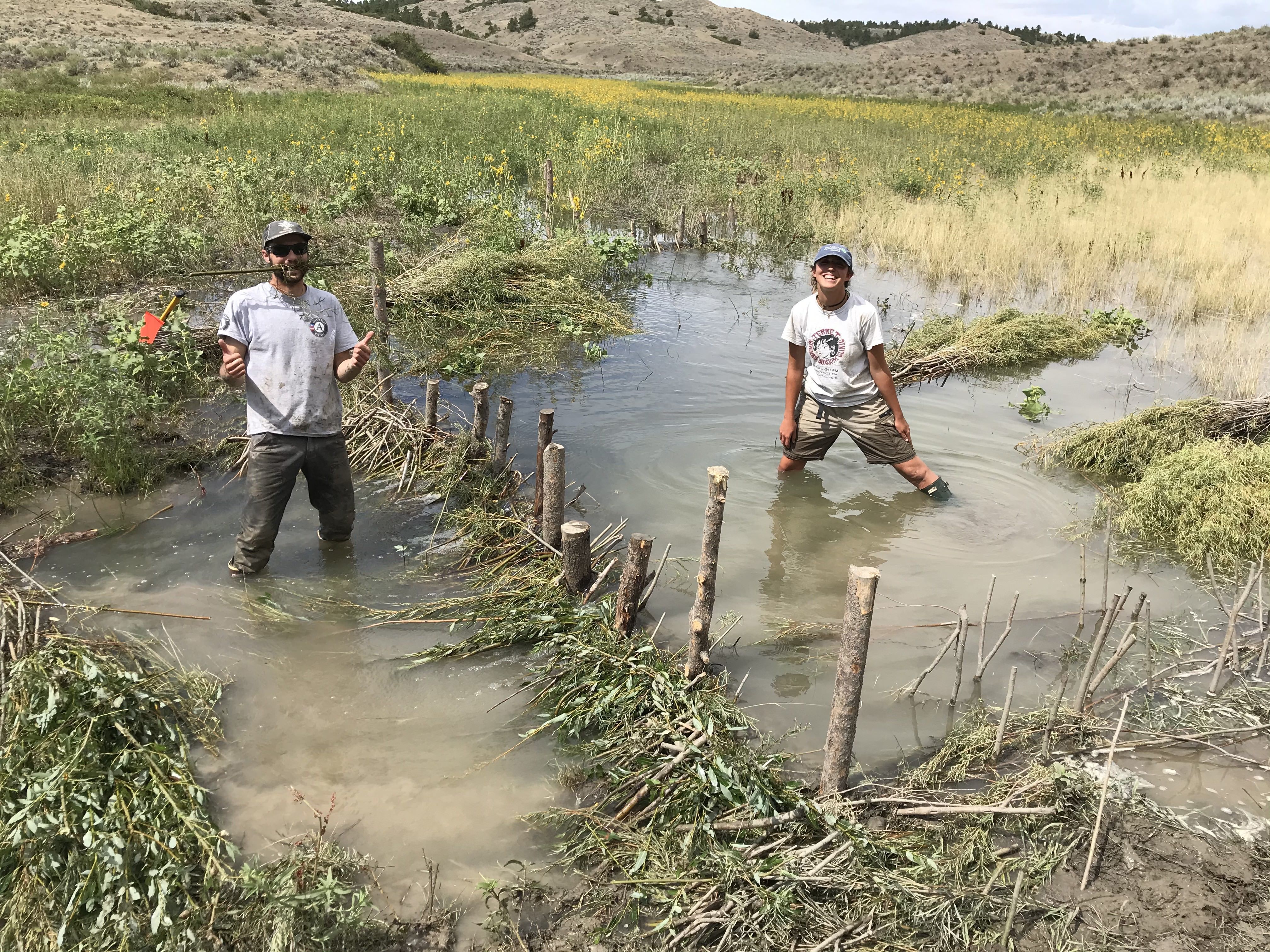 Connor and a BSWC member build a beaver mimicry dam