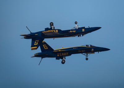 Other wingmen can fly upside down!