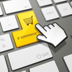 Customer Login