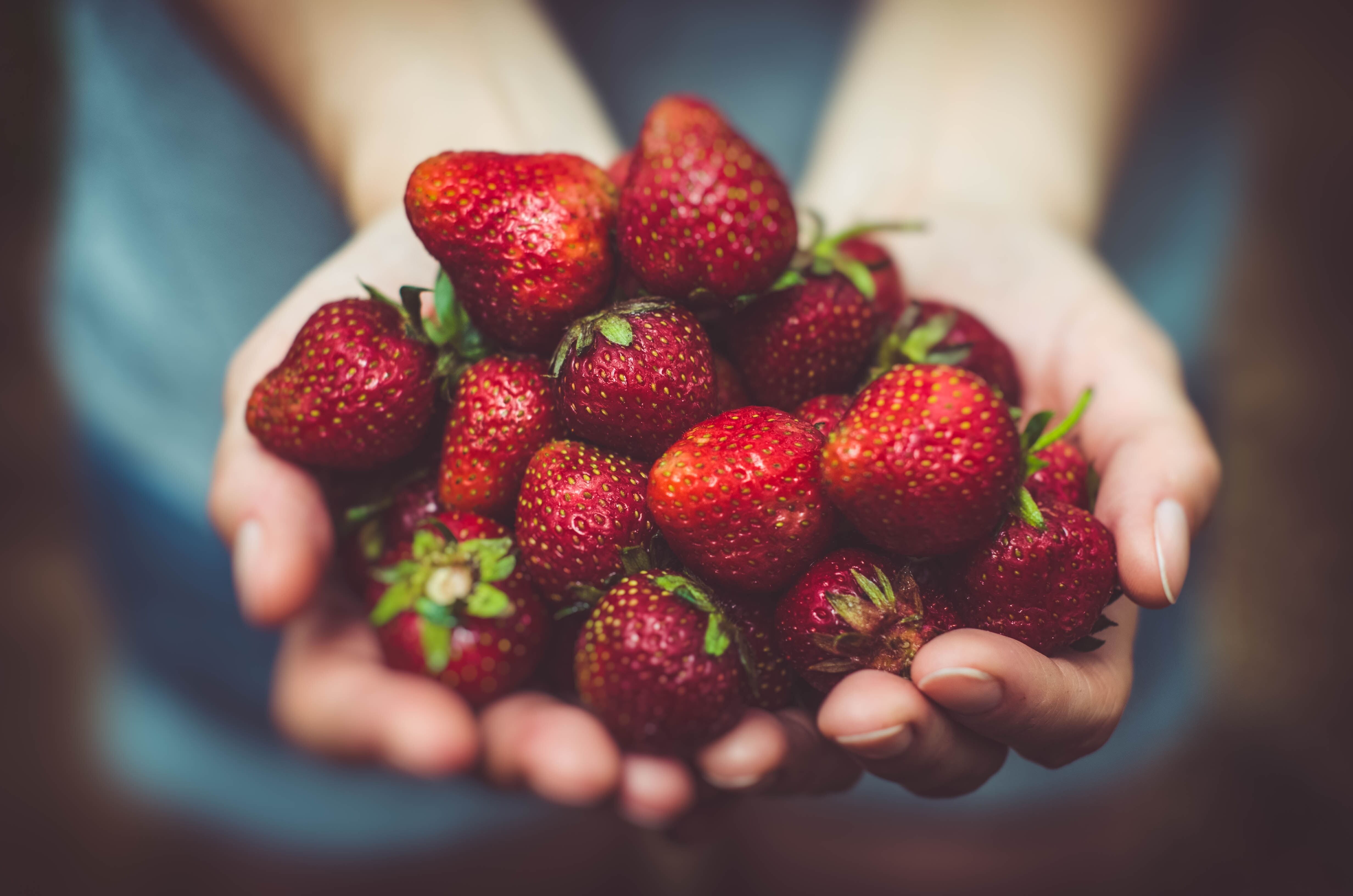 Food Pantries Play A Big Role