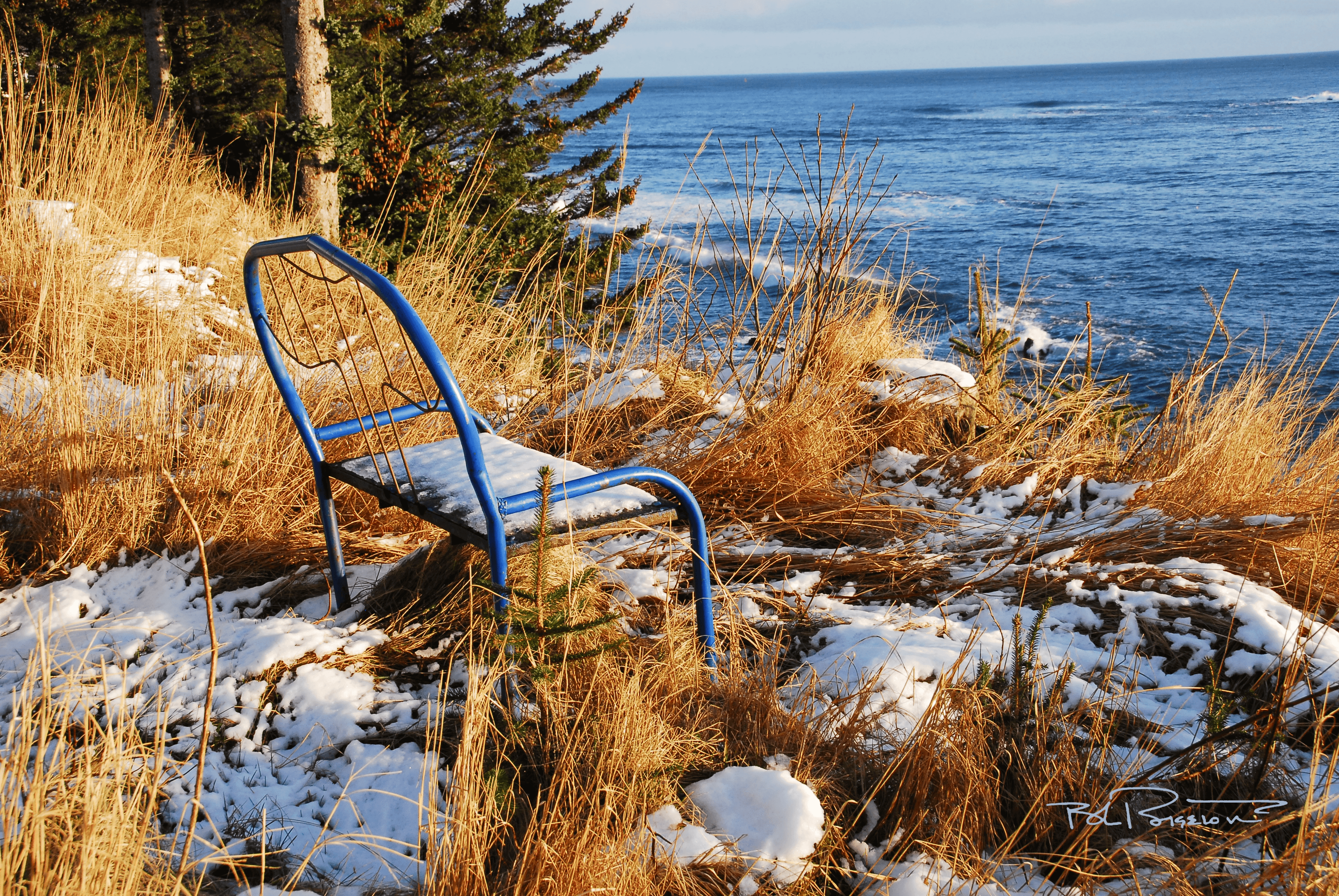 Lonely Bench #1