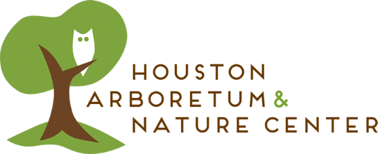 Pop-up Birding at Houston Arboretum