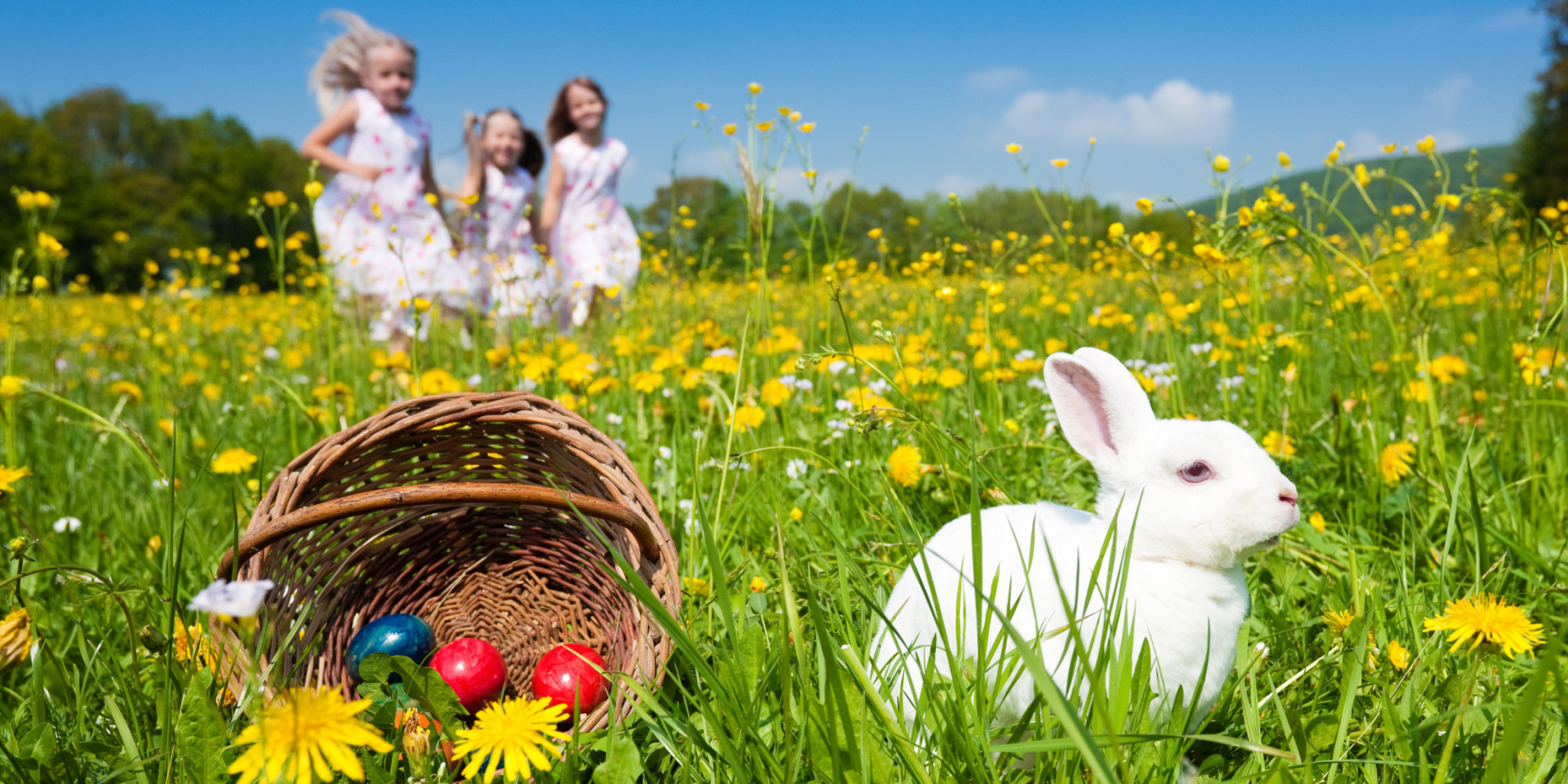 Project Easter Bunny!
