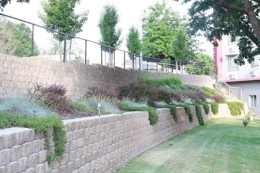 Retaining wall with lots of greenery and plants growing.