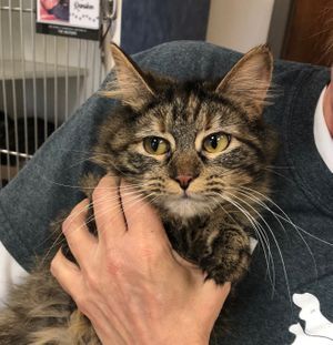 SABRINA