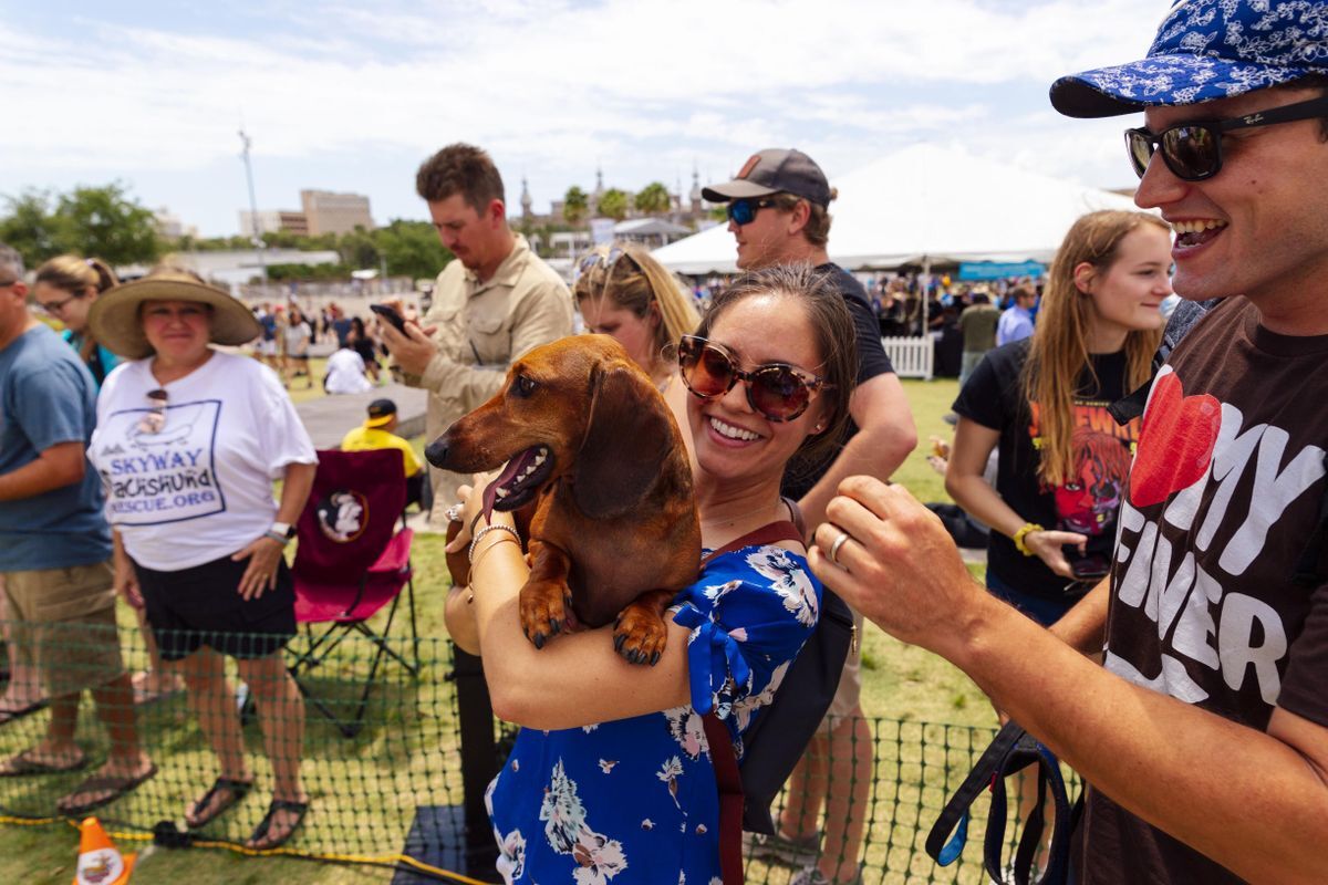 Tampa Riverwalk on X: CALLING ALL WIENER DOGS!