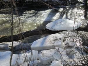 Daily Prayer February 24