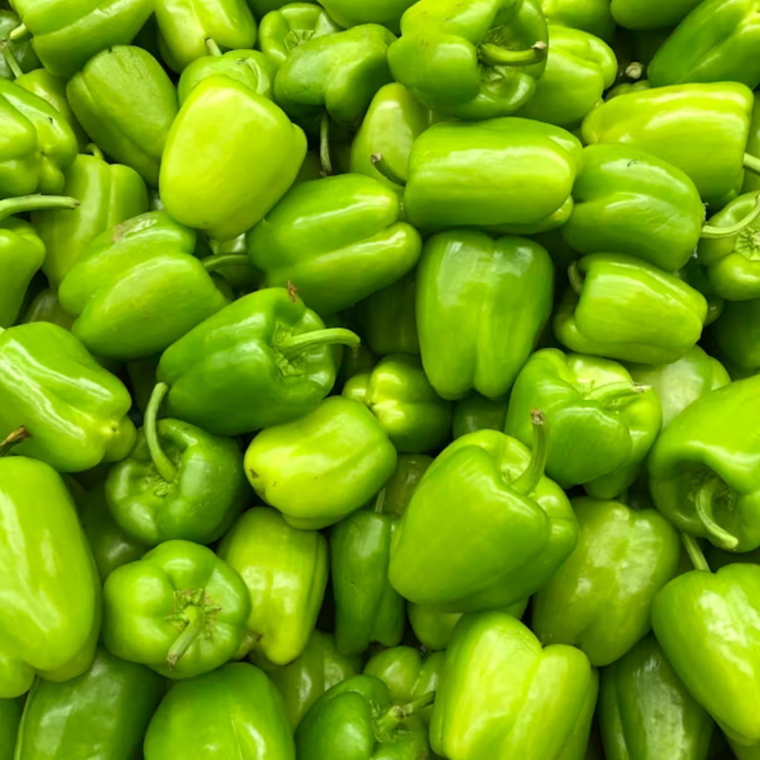 Green Pepper