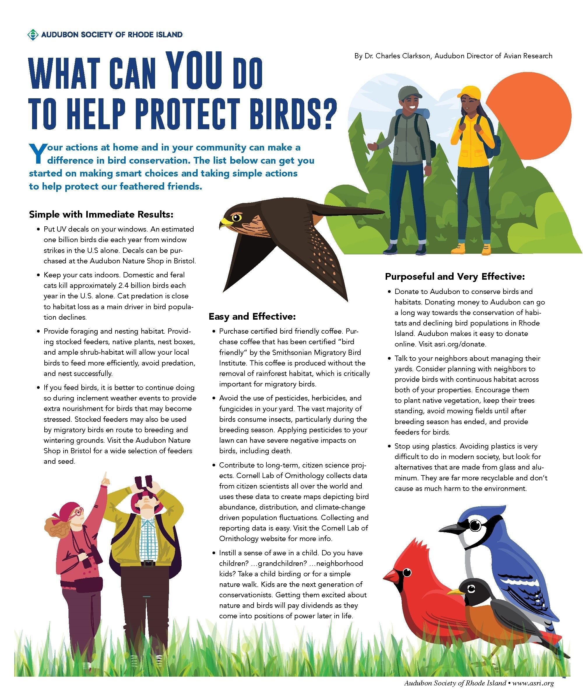 What Can You Do to Protect Birds?