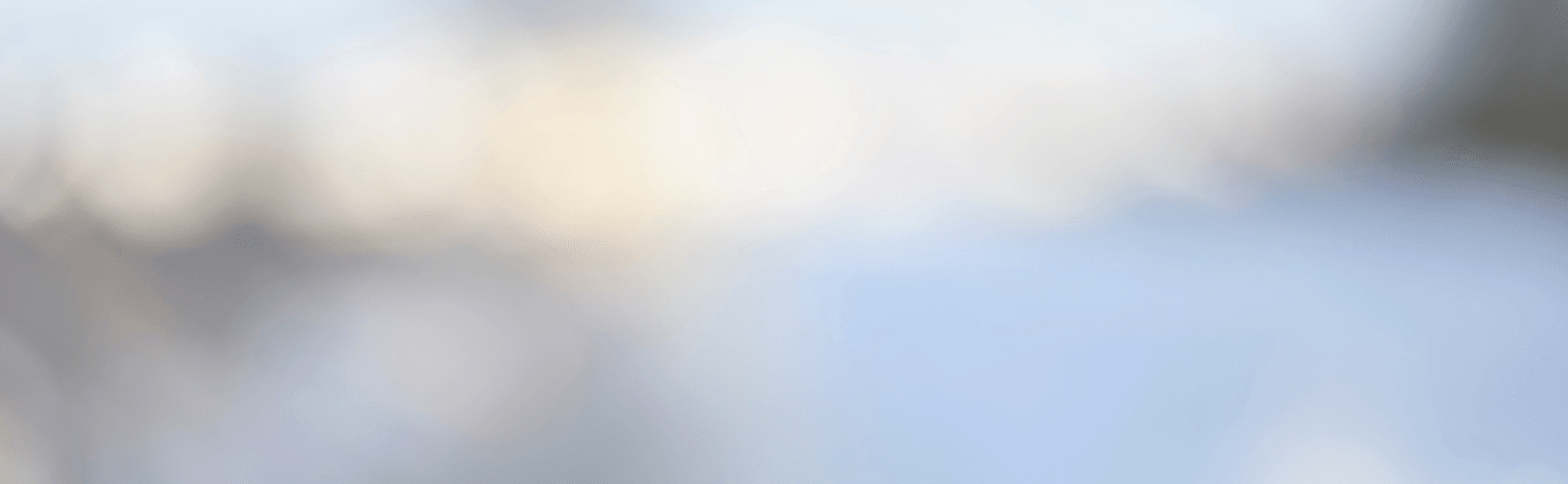 Psychoanalytic Monthly Clinical Consultation Seminar