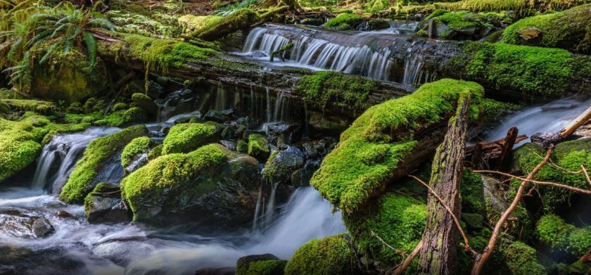 River Rocks by Sylvia Hart