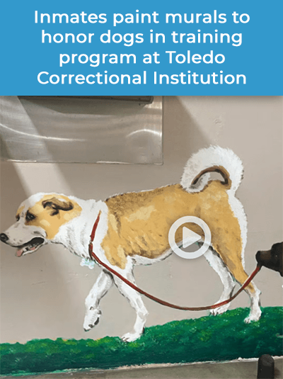 Inmates paint murals to honor dogs in training program at Toledo Correctional Institution