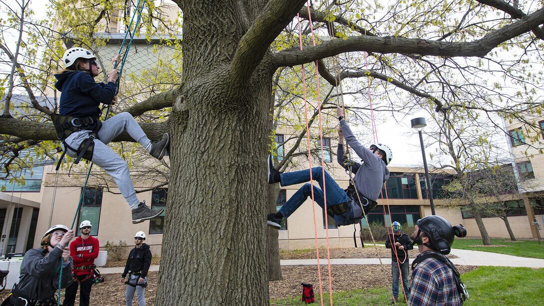 Students roped up and climbing a tree while onlookers watch. 