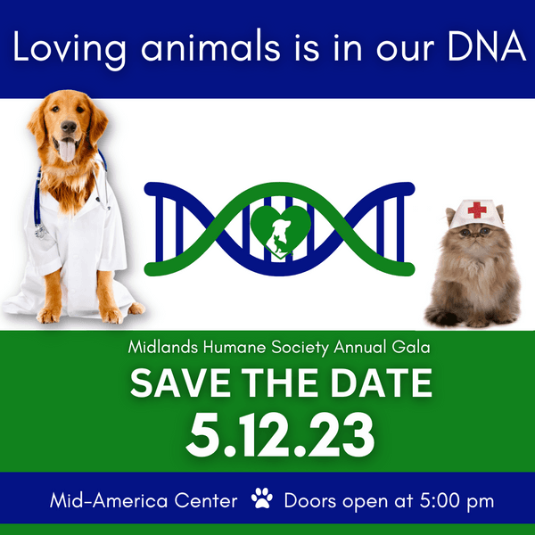 Home Midlands Humane Society