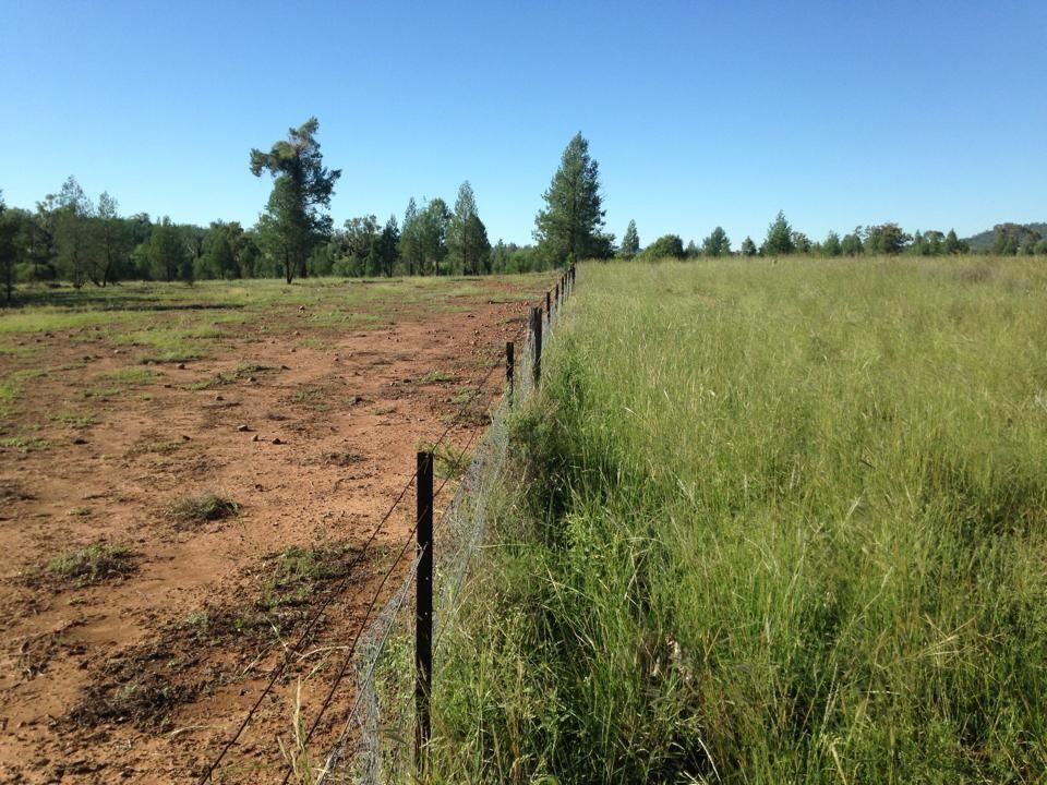 Bring your questions about our environment to a Texas Master Naturalist