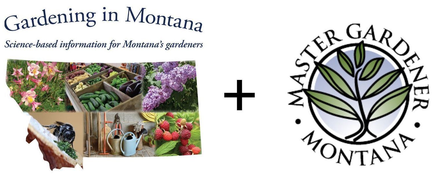 Master Gardener Montana plant logo.