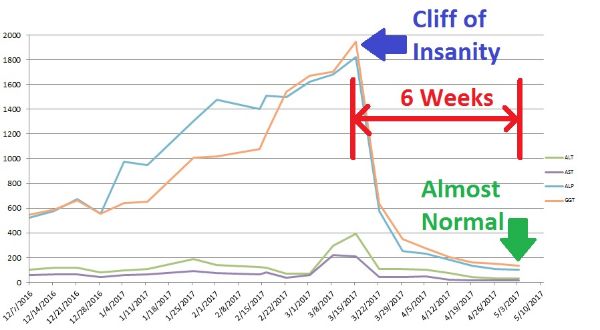 FRED’S CLIFF OF INSANITY: A HOPEFUL PICTURE OF THE UNPREDICTABLE LIFE OF A PSCER