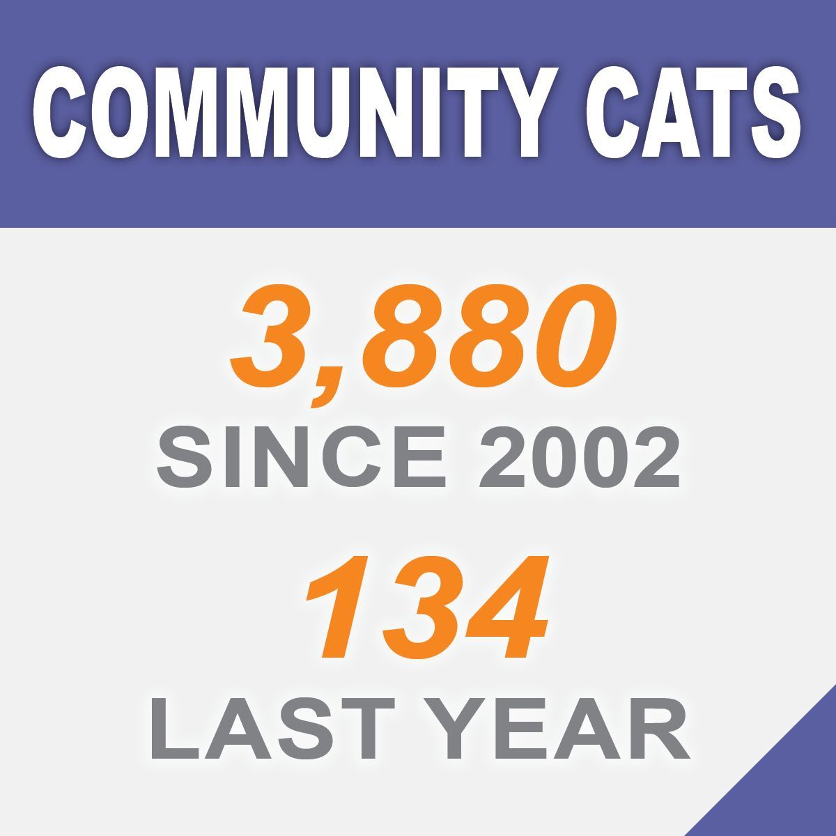 Community Cats