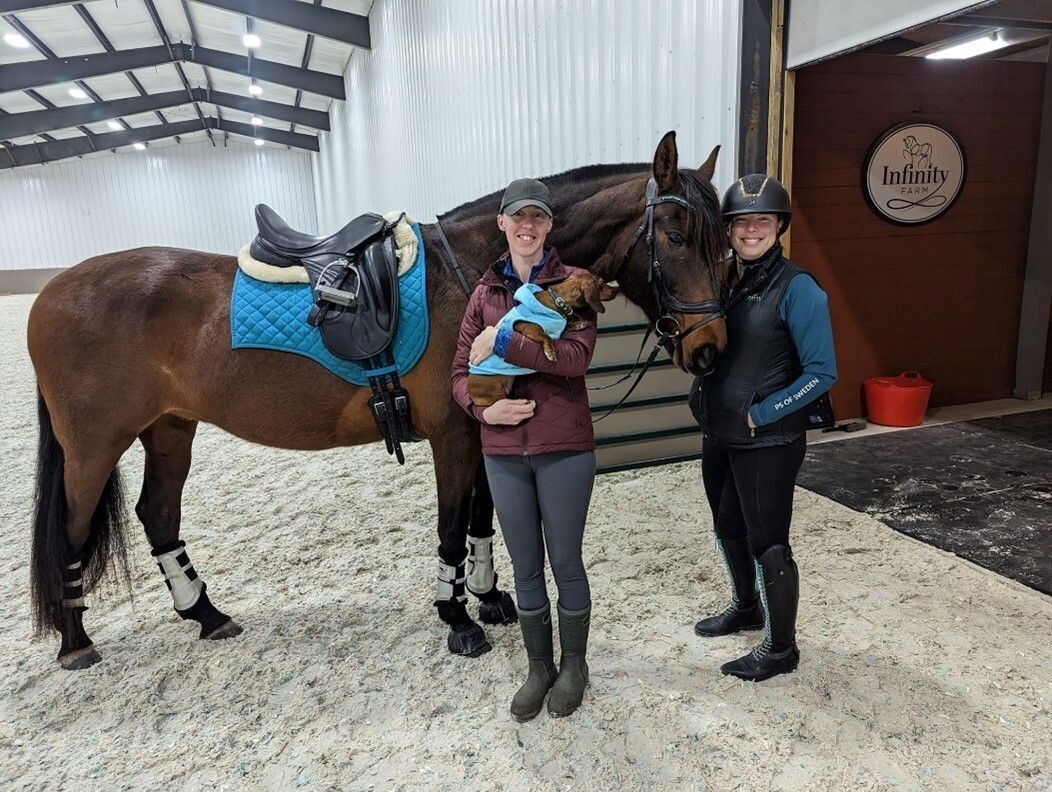 Leah Strid Region 4 : 2021 Gifted Reports : Carol Lavell Recipient Reports  : Adult Amateur Stories : Our Stories : Grants and Programs : The Dressage  Foundation