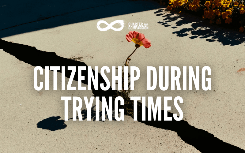 Flower growing through a crack with a high contrast cement, title of the blog Citizenship During Trying Times at the center of the image