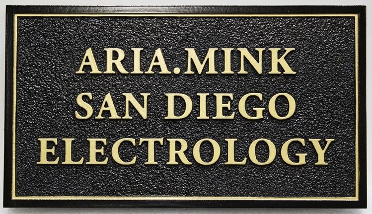 B11361 - Carved and Sandblasted sign for "Aria.Mink-San Diego Electrology"