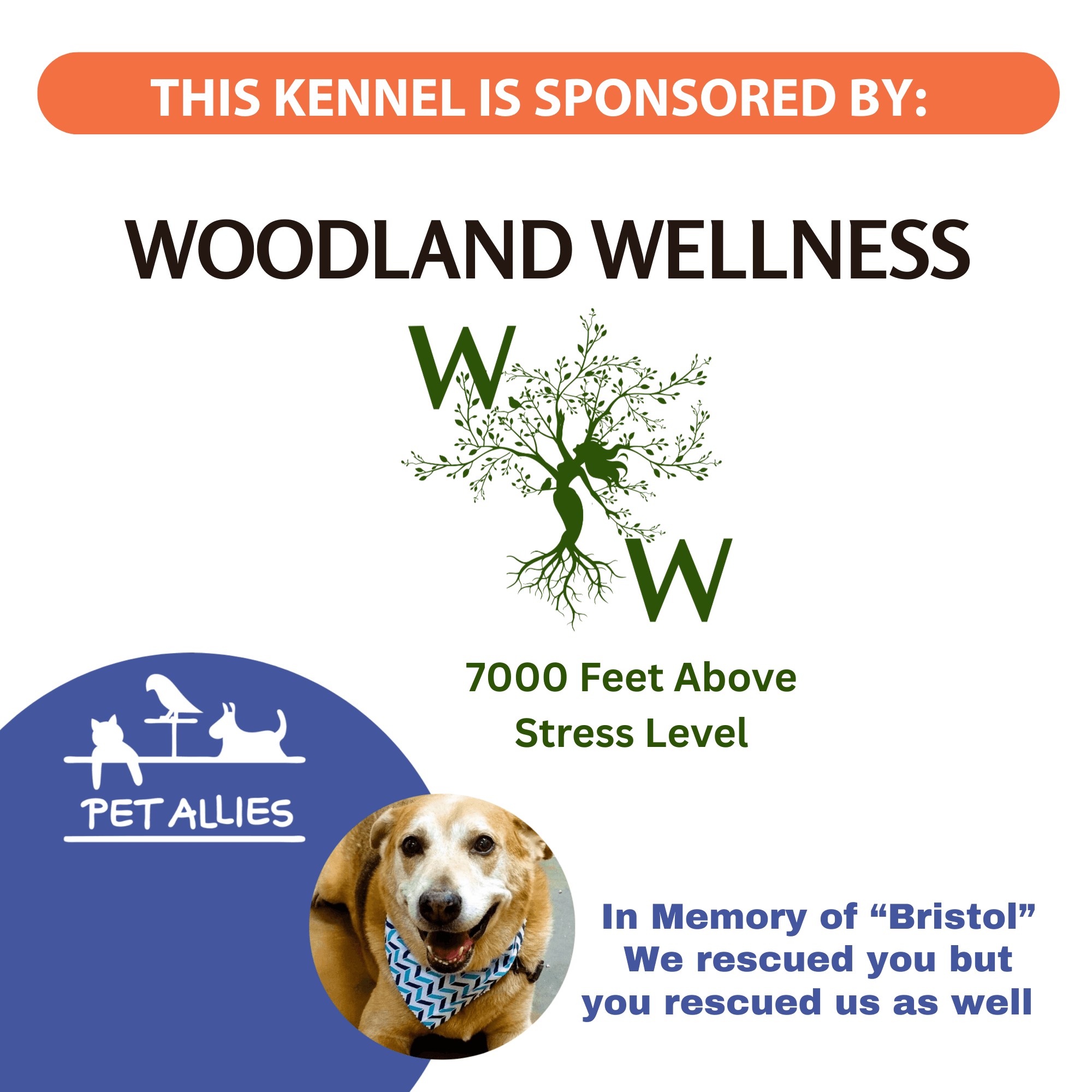 Woodland Wellness