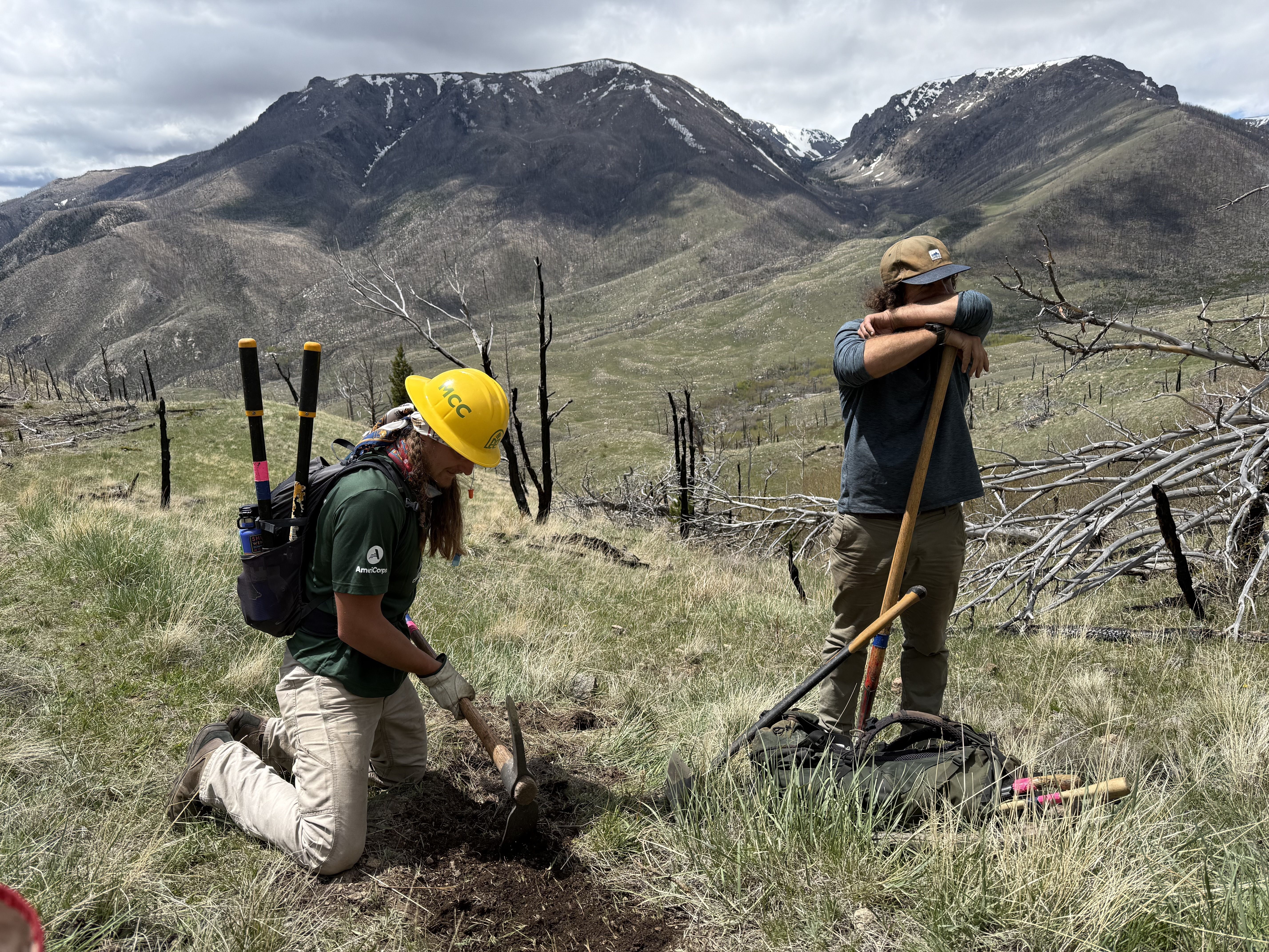 Two crew members work to cut new trail in a grassy hillside.