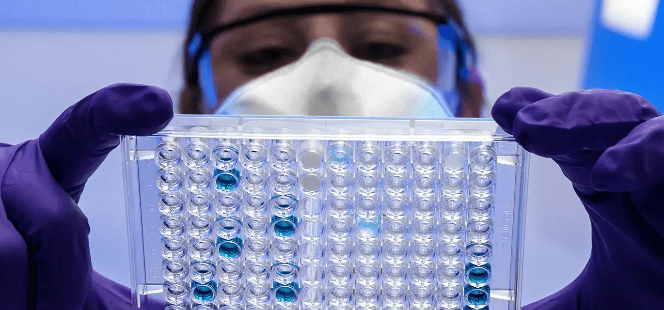 scientist looks at lab samples
