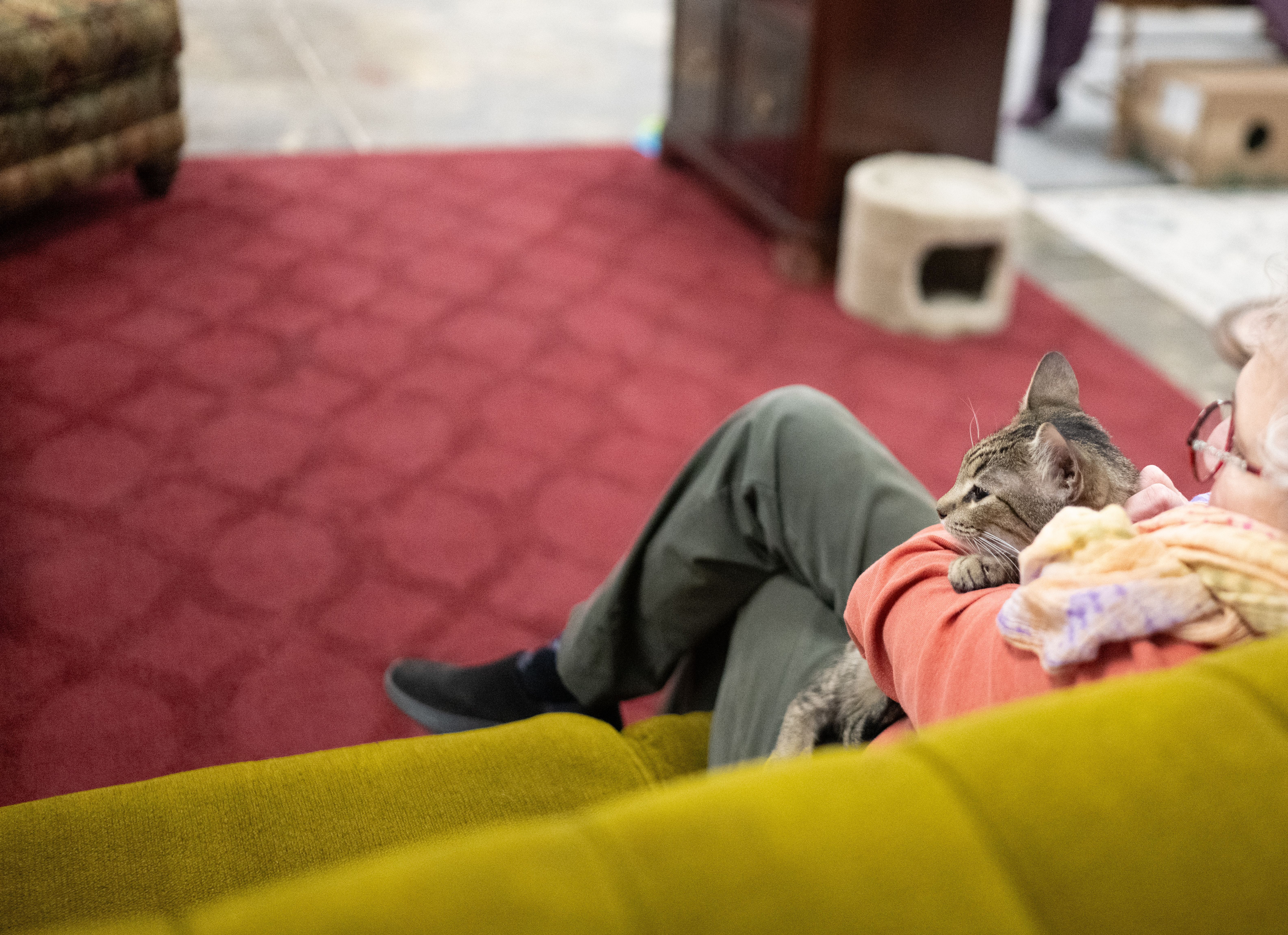 Cat Connection Now Open!