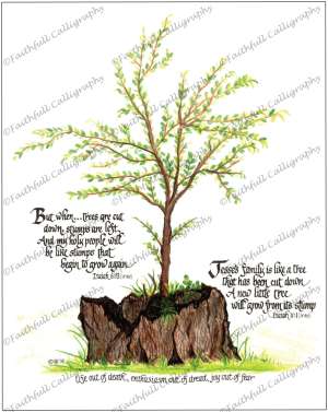 TREE STUMP (Isaiah, Encouragement, Faithwalk, Grief/Loss)