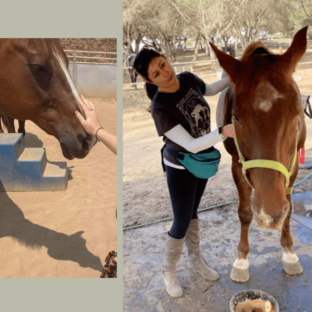 The Healing Power of Horses: Francine's Journey