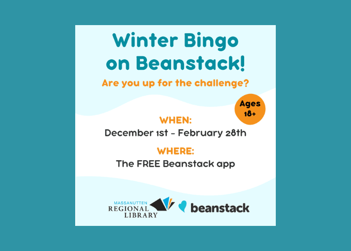 Join our adult Winter Bingo Challenge!