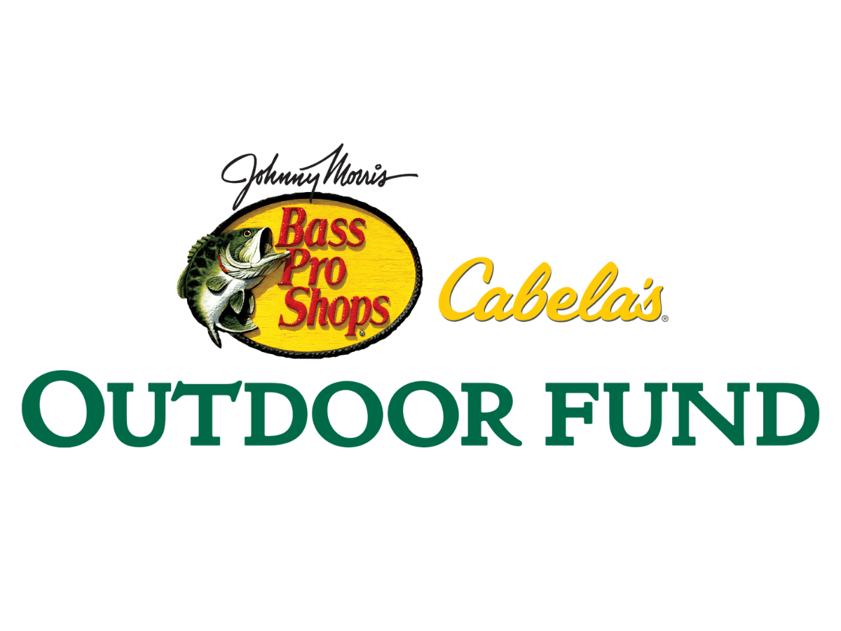 Cabela's 