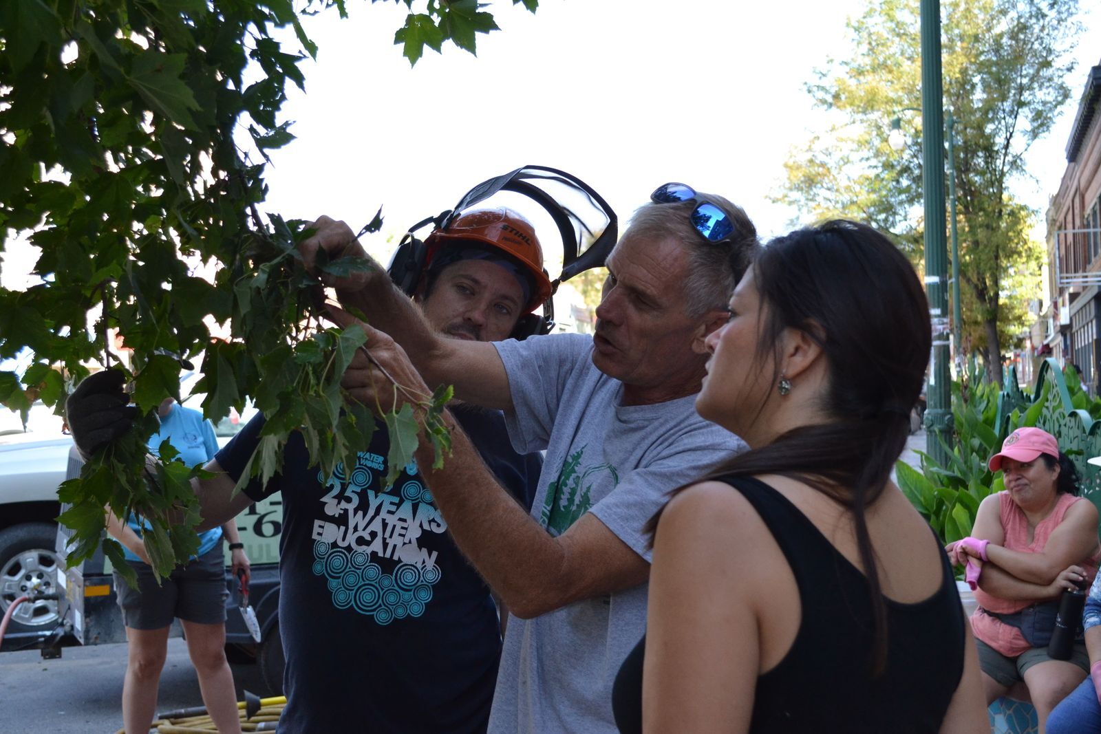 Two men and a woman closely examine the leaves of a tree. 
