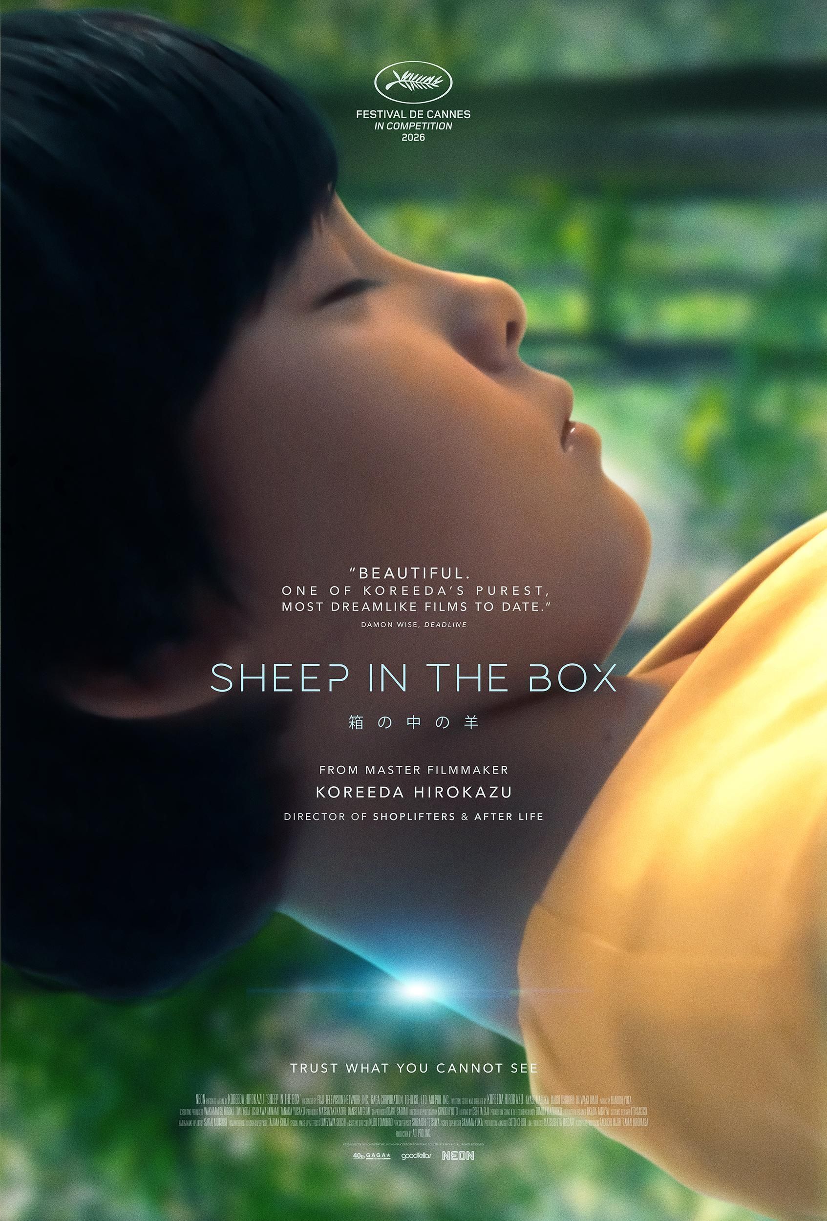 Sheep In The Box