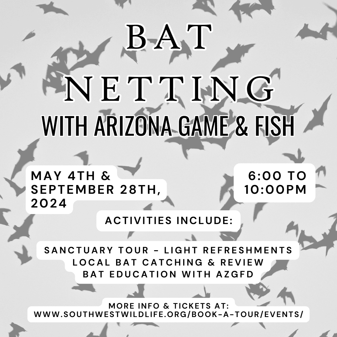 BAT NETTING WITH AZ GAME & FISH