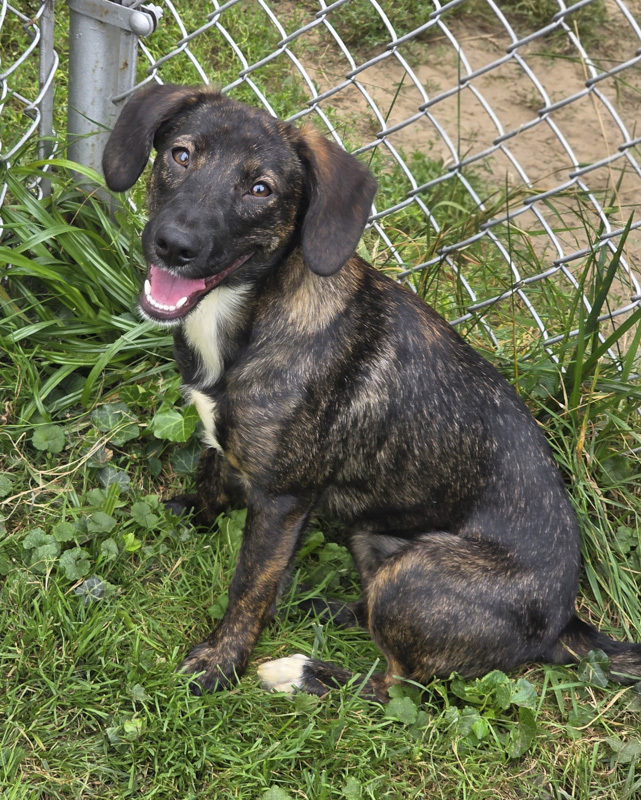 Ellie Mae